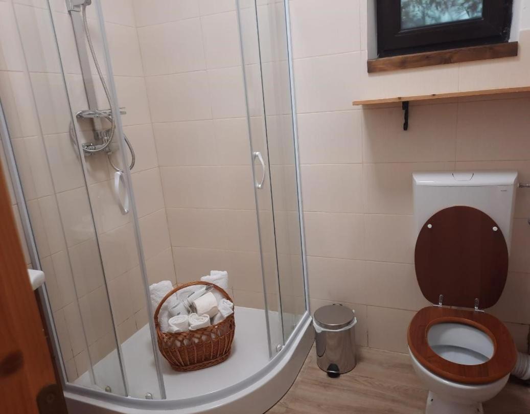 Appartement Casa Oaspeti Transfagarasan à Cîrţişoara Extérieur photo